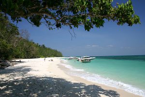 bamboo Island