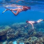 Phi phi island snorkeling