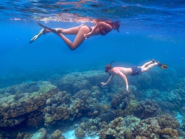 Phi phi island snorkeling