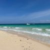 bamboo island