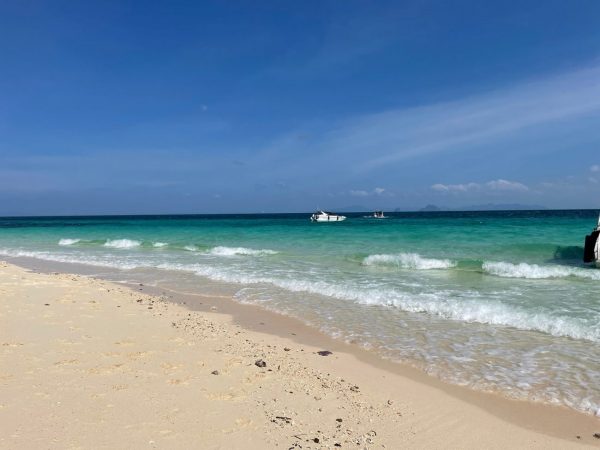 bamboo island