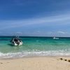 bamboo island
