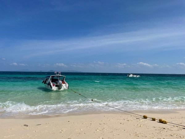 bamboo island